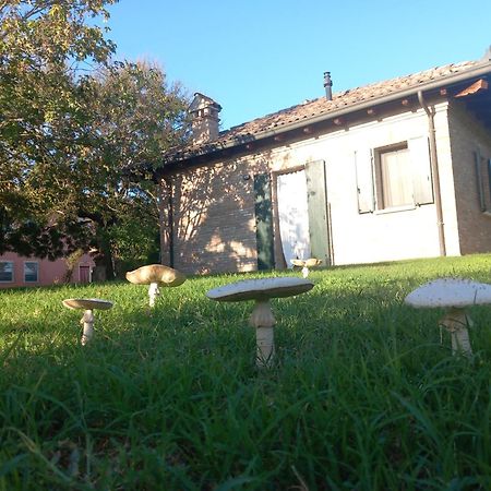Agriturismo Fondo Novelle La Casina 페라라 외부 사진