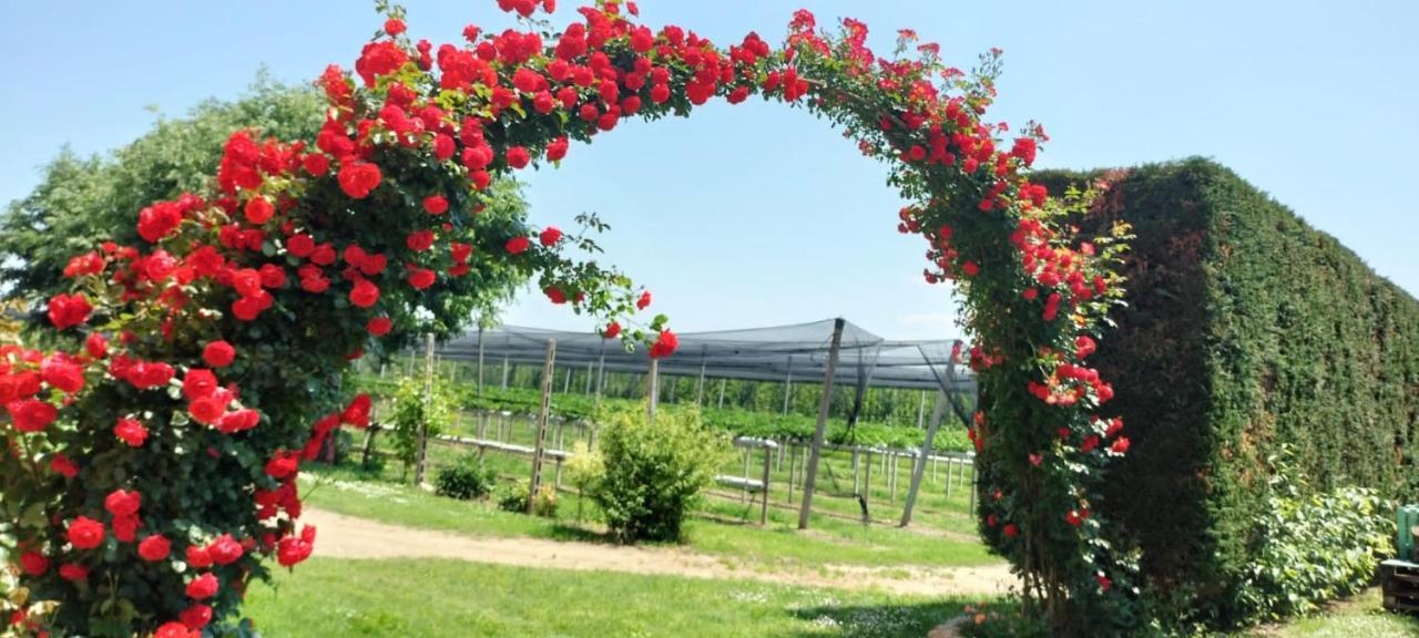Agriturismo Fondo Novelle La Casina 페라라 외부 사진