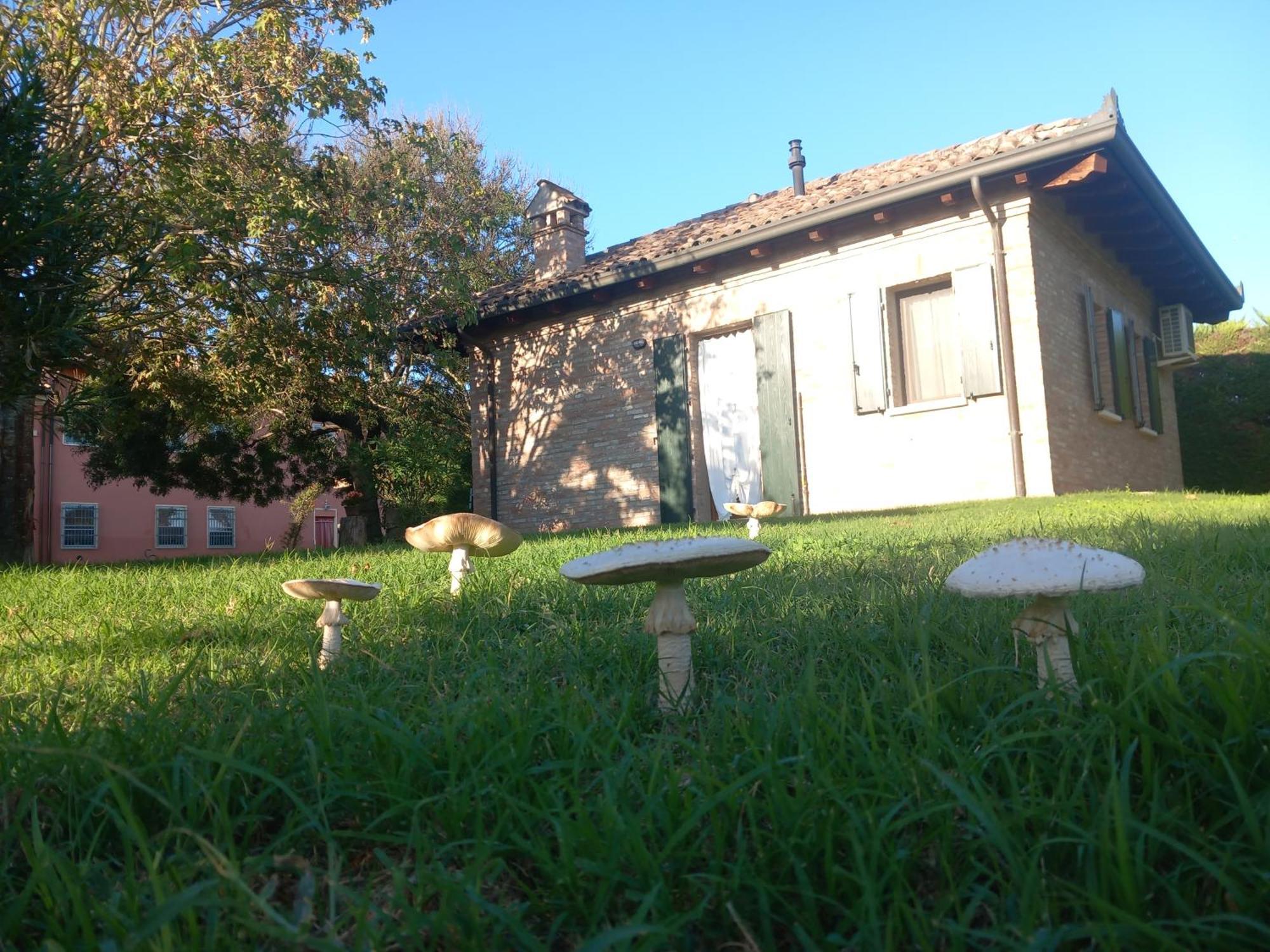 Agriturismo Fondo Novelle La Casina 페라라 외부 사진