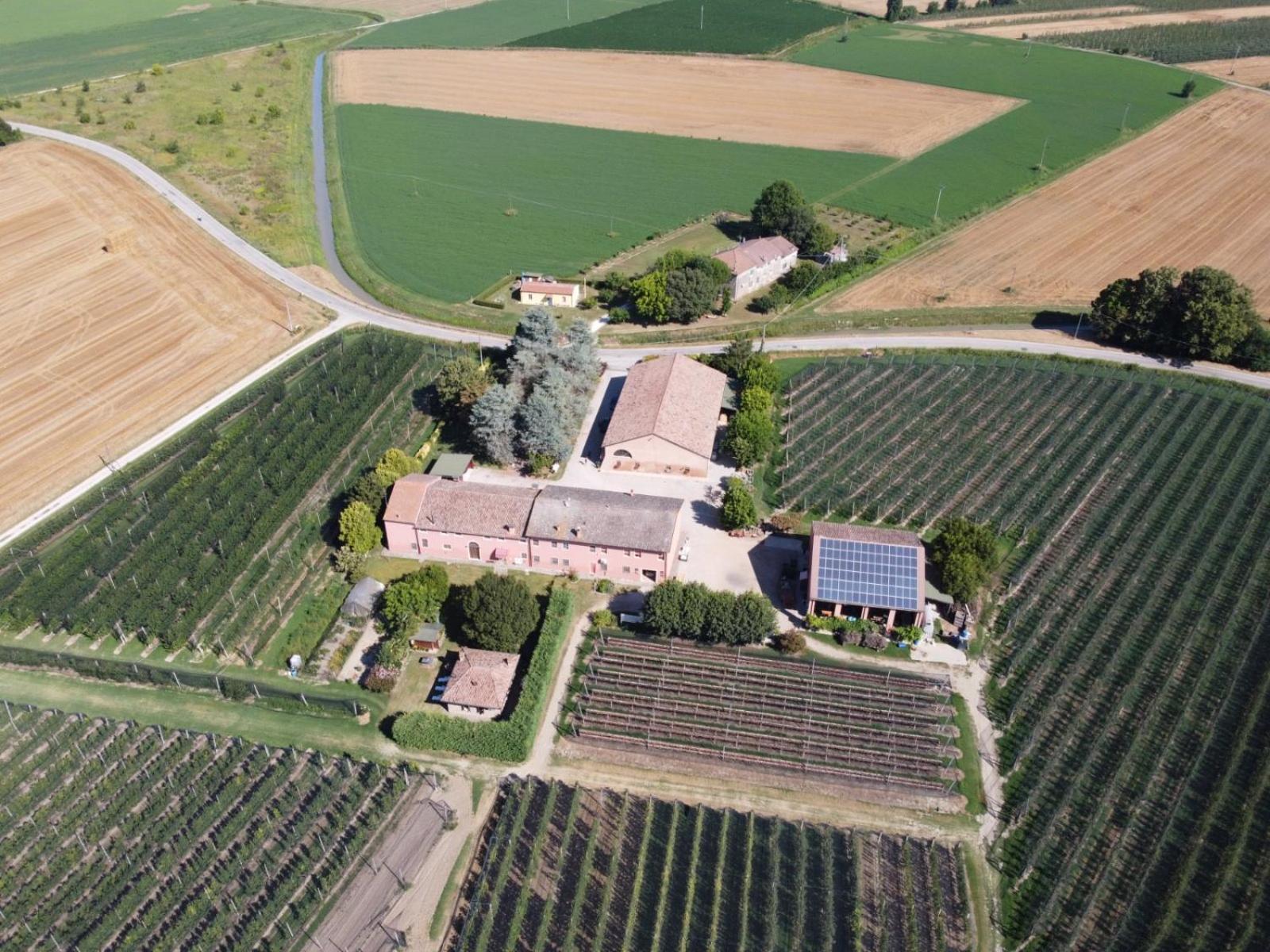 Agriturismo Fondo Novelle La Casina 페라라 외부 사진